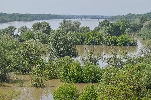 Toruń - powódź w maju i czerwcu 2010 r.