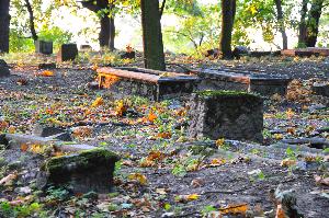 Wielka Nieszawka - cmentarz mennonicki