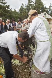 Bruki Unisławskie - Święto Kapusty