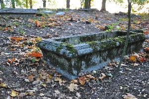 Wielka Nieszawka - cmentarz mennonicki