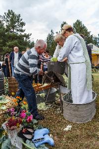 Bruki Unisławskie - Święto Kapusty