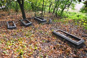 Wielka Nieszawka - cmentarz mennonicki