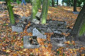 Wielka Nieszawka - cmentarz mennonicki