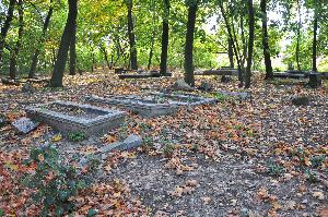 Wielka Nieszawka - cmentarz mennonicki