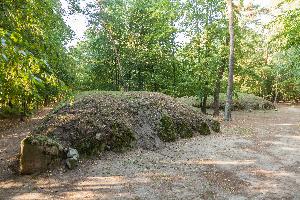 Wietrzychowice - park kulturowy