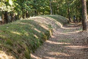 Wietrzychowice - park kulturowy