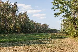 Wietrzychowice - park kulturowy