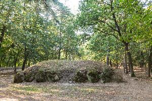 Wietrzychowice - park kulturowy