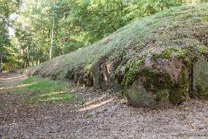 Wietrzychowice - park kulturowy