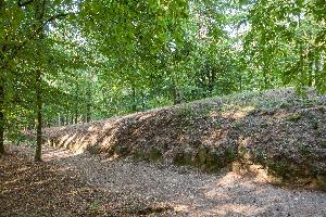 Wietrzychowice - park kulturowy