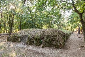 Wietrzychowice - park kulturowy