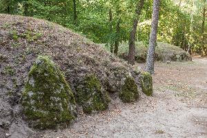 Wietrzychowice - park kulturowy