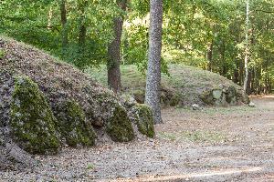 Wietrzychowice - park kulturowy