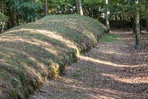 Wietrzychowice - park kulturowy