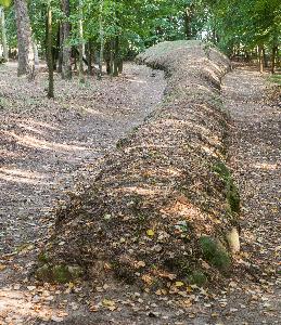 Wietrzychowice - park kulturowy