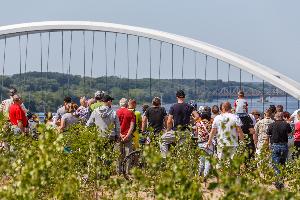 Toruń - manewry Anakonda 16